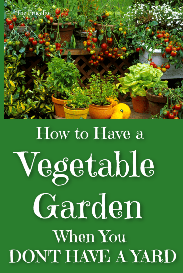 How to Have a Vegetable Garden When You Don\'t Have a Yard