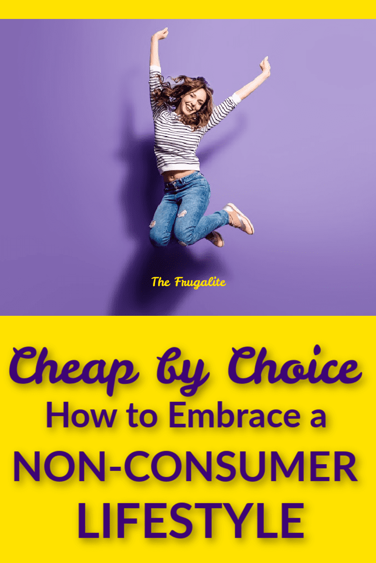 Cheap by Choice: How to Embrace a Non-Consumer Lifestyle