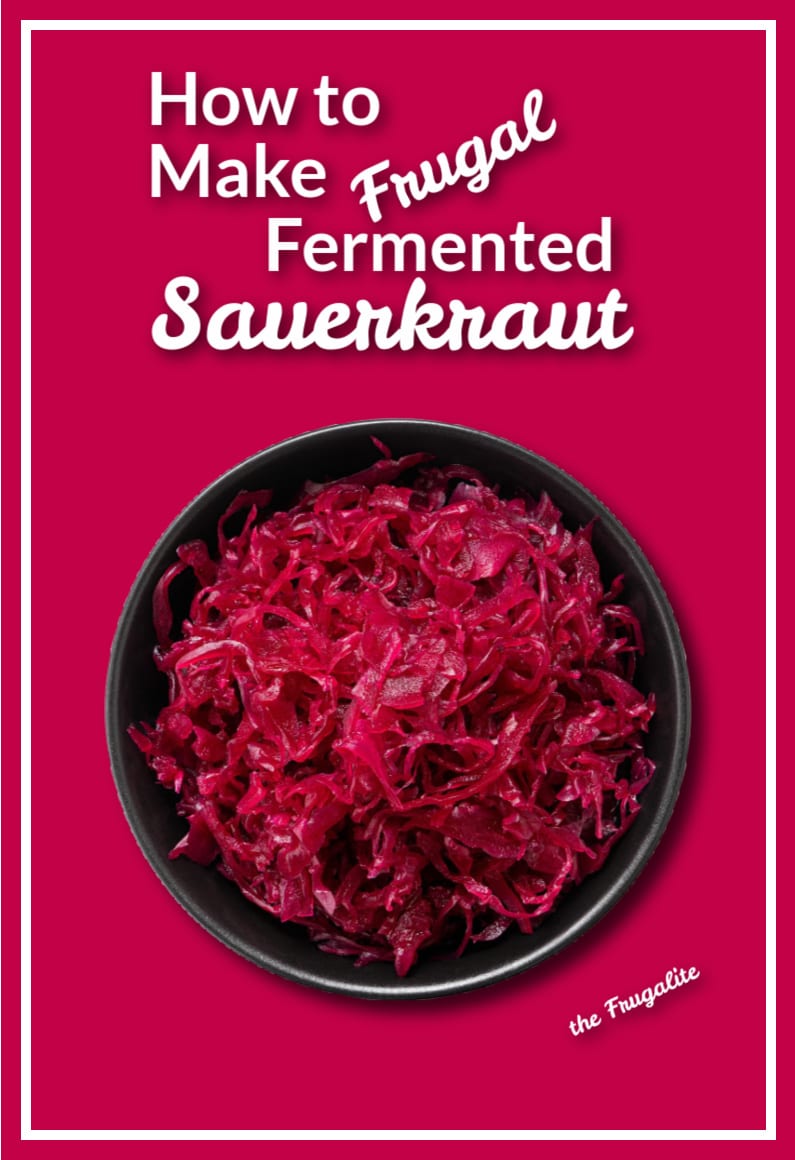 How to Make Frugal Fermented Sauerkraut