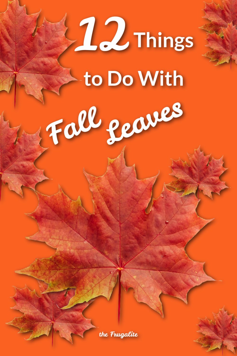 12 Ways to Use Fall Leaves