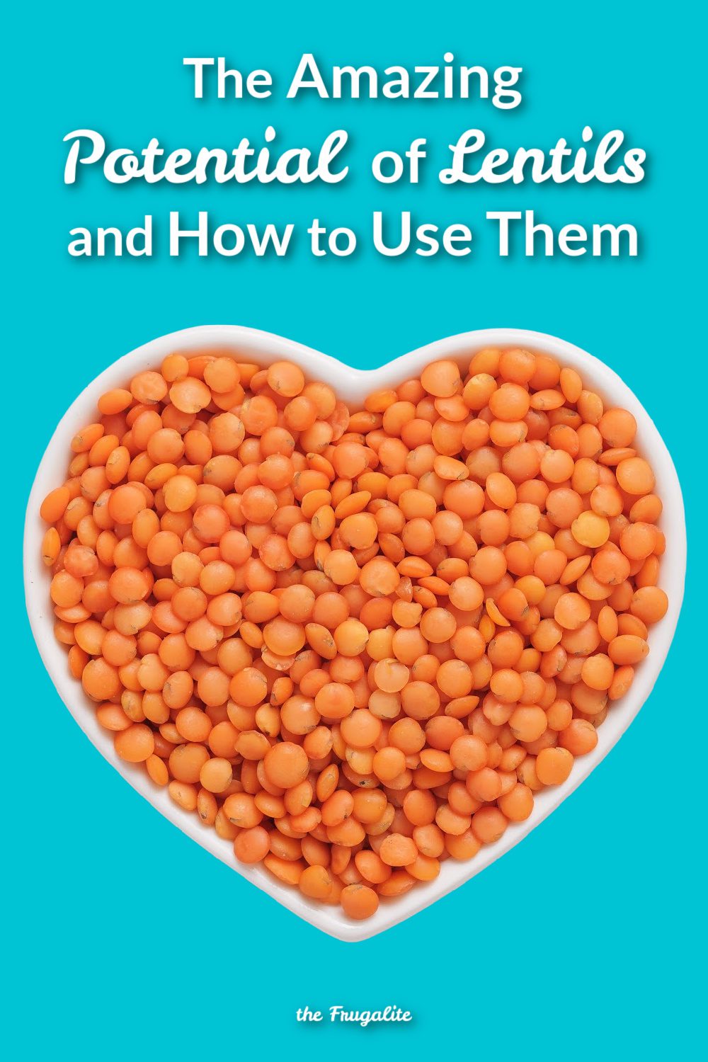 The Amazing Potential of Lentils and How to Use Them