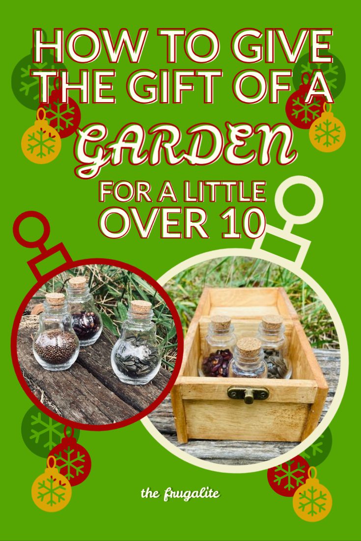 Give the Gift of a Garden for a Little Over $10