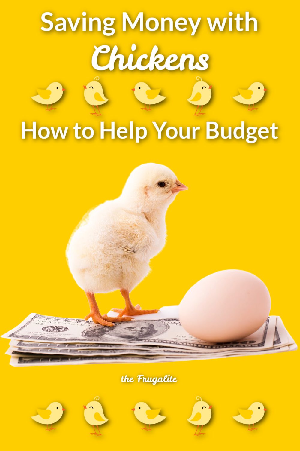 Will Raising Chickens Save You Money?