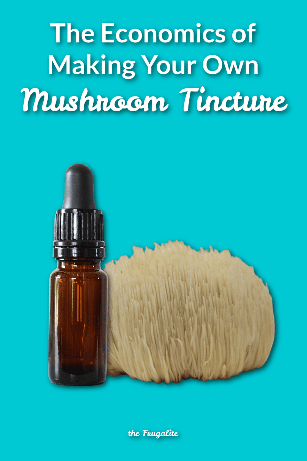 The Economics of Making Your Own Mushroom Tincture