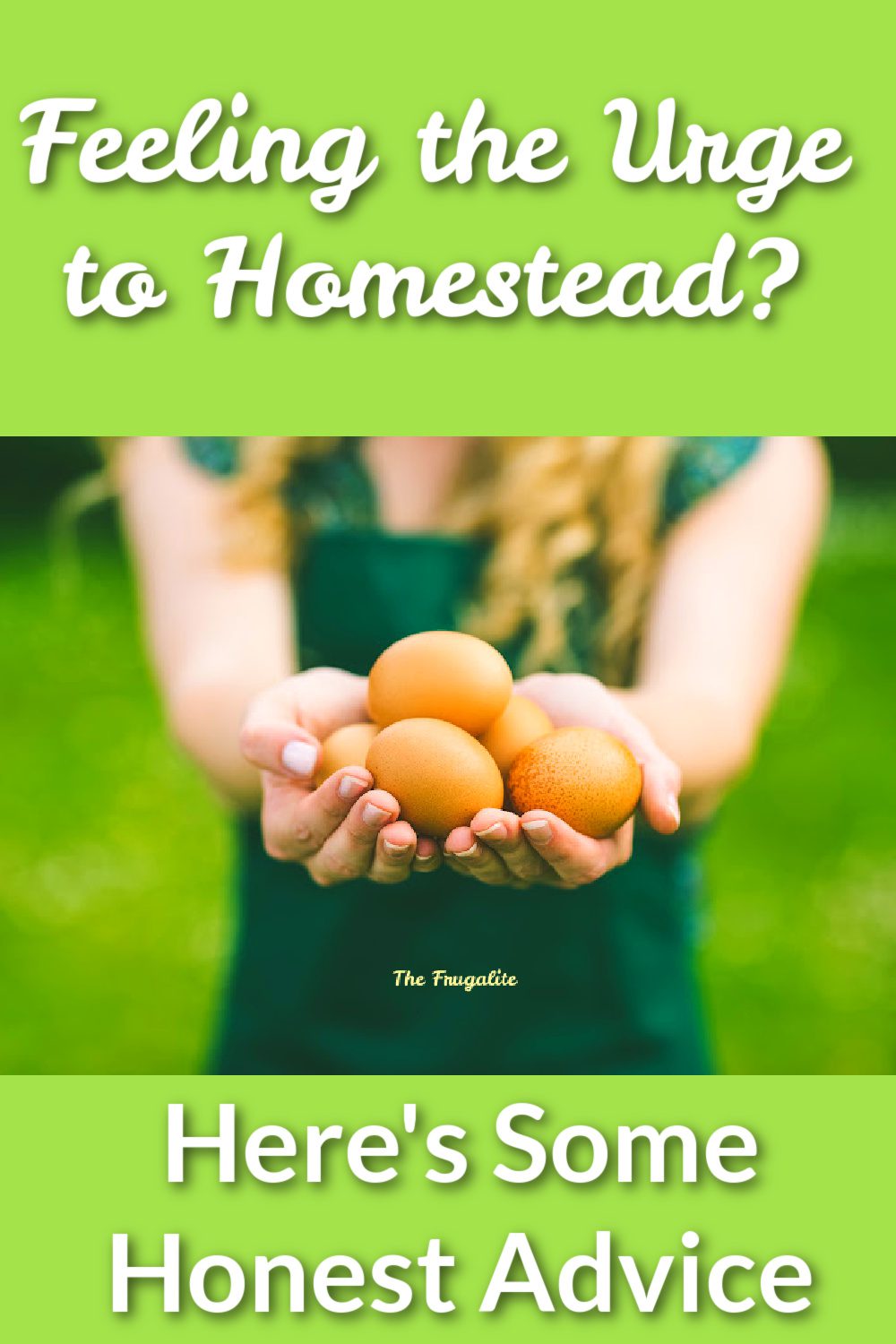 Feeling the Urge to Homestead? Here\'s Some Honest Advice