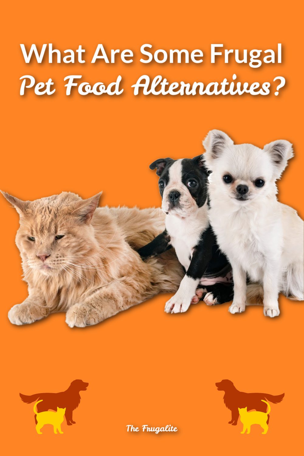What Are Some Frugal Pet Food Alternatives?