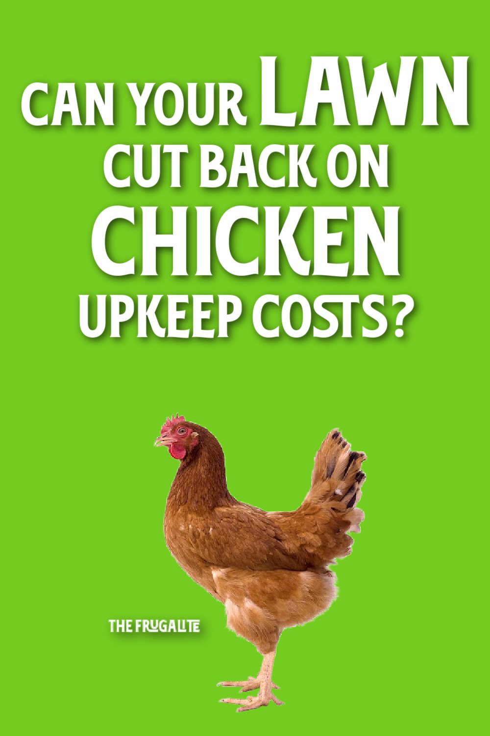 Can Your Lawn Cut Back on Chicken Upkeep Costs?