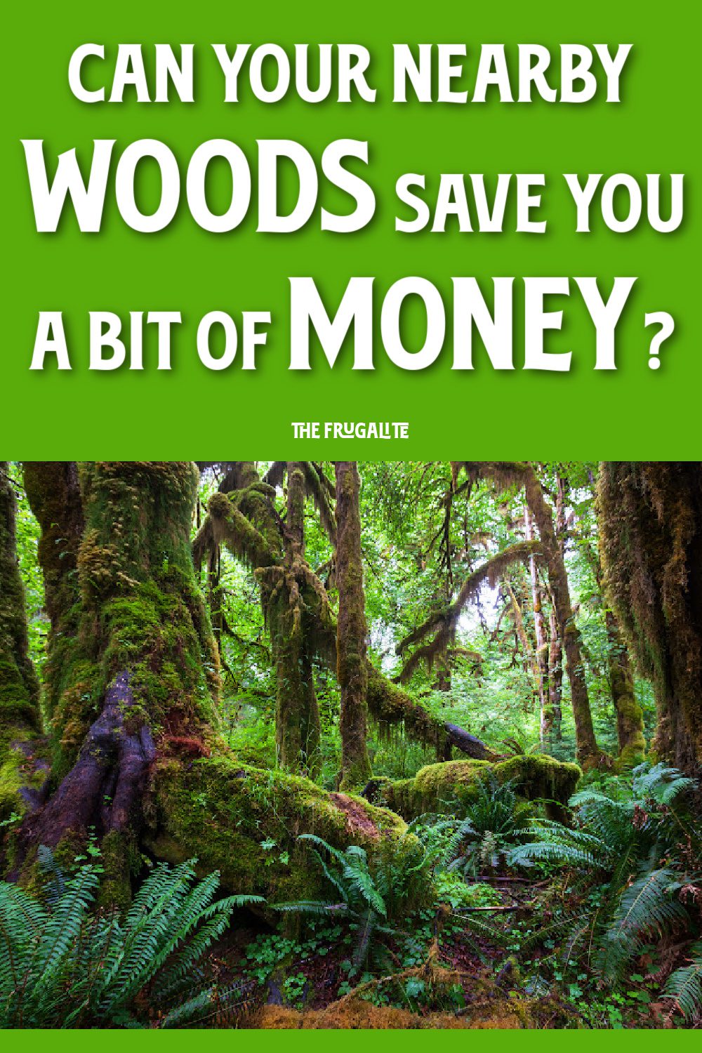 Can Your Nearby Woods Save You a Bit of Money?