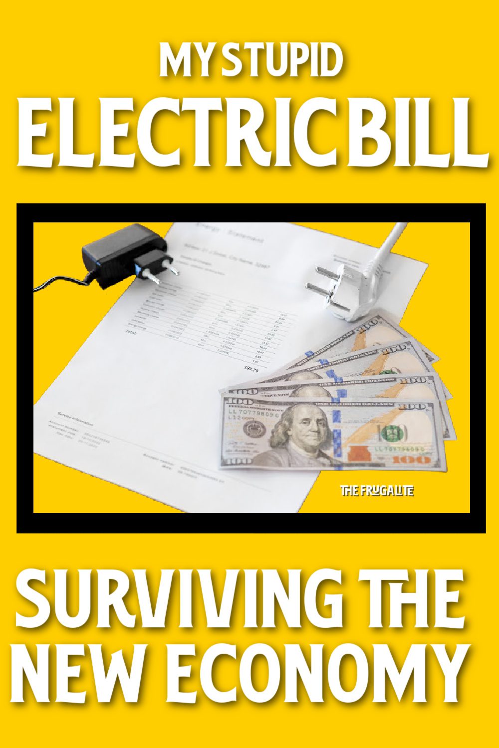 My Stupid Electric Bill: Surviving the New Economy