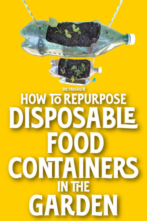 How to Repurpose Disposable Food Containers in the Garden