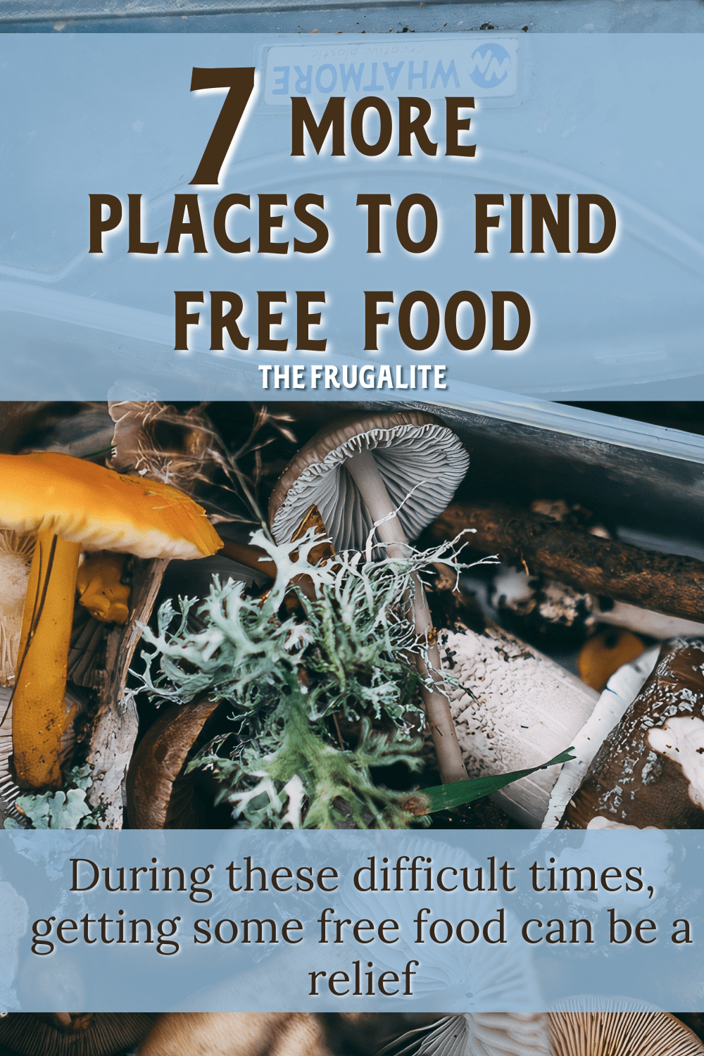 7 More Places to Find Free Food